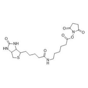 2,5-Dioxopyrrolidin-1-yl 6-(5-(2-oxo-hexahydro-1H-thieno[3,4-d]imidazol-4-yl)pentanamido)hexanoate