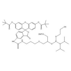 5-Fluorescein amidite