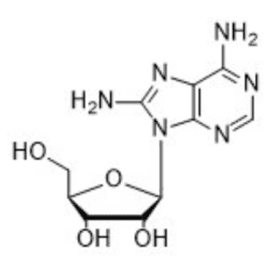 8-AMINOADENOSINE