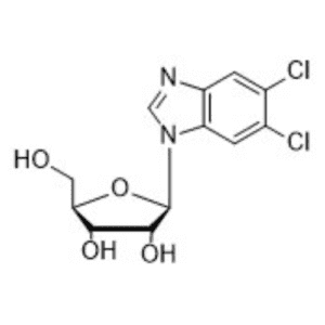 5,6-DICHLOROBENIMIDAZOLE-1-B-D- RIBOFURANOSIDE