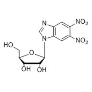 5,6-DI-NITRO-BENZIMIDAZOLE-1-B-D- RIBOFURANOSE