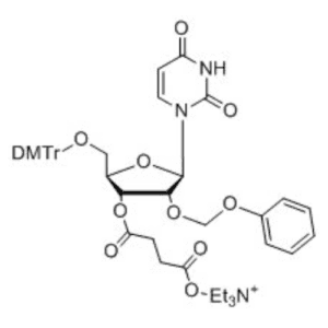 2ʼ-O-[ETHYL-PHENYLETHER]-5ʼ-DMTr-5-METHYL-URIDINE-3ʼ- O-SUCCINATE