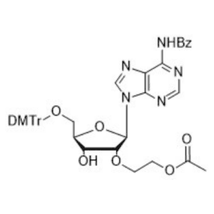 5ʼ-O-DMTr-2ʼ-O-(ETHYLACETATE)-N6-BENZOYL- ADENOSINE