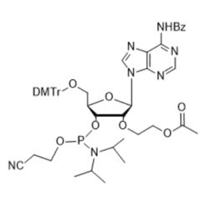2ʼ-O-ETHYLACETATE-5ʼ-O-DMTr-N6-BENZOYL- ADENOSINE-3ʼ-O-CE-AMIDITE
