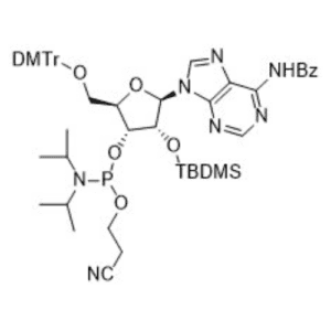5'-DMTr-2'-O-TBDMS-N6Bz-3'-O-CEP-ADENOSINE