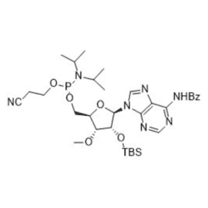 2'-O-TBS-3'-O-Me-5'-O-CEP-N6Bz-ADENOSINE