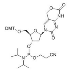 5'-DMTr-2'-DEOXY-3'-O-CEP-C5 HYDROXY METHYL CARBAMATE CYTIDINE